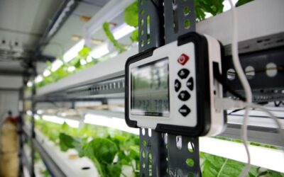 Principais fatores do dimensionamento elétricos para agroindústria