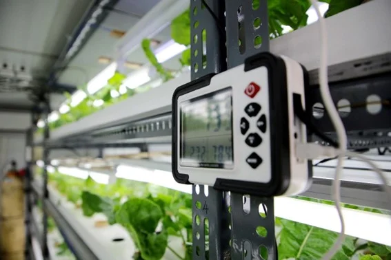 Principais fatores do dimensionamento elétricos para agroindústria