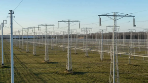 Cabo de alumínio triplex 16mm em rede elétrica aérea.